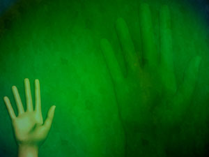 Palm Title Content PowerPoint Template