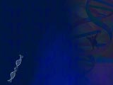 DNA Medicine PowerPoint Templates