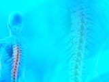 Spinal Cord Medicine PowerPoint Templates