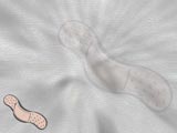 Bandage Medicine PowerPoint Templates