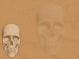 Cranium (Skull) Medicine PowerPoint Templates