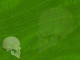 Cranium (Skull) Medicine PowerPoint Templates