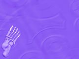 Phalanges (Foot Finger) Medicine PowerPoint Templates
