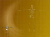 Human Skeleton Medicine PowerPoint Templates