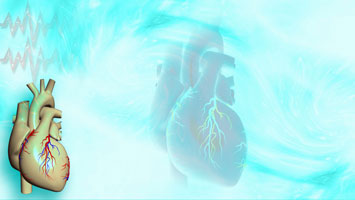 Heart Title Content PowerPoint Template Heart Title Content PowerPoint Template