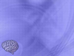 Brain Title Content PowerPoint Template Brain Title Content PowerPoint Template