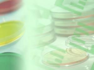 Petri Dish Title Content PowerPoint Template Petri Dish Title Content PowerPoint Template