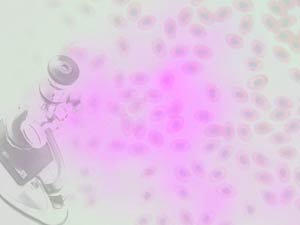 Cells Title Content PowerPoint Template