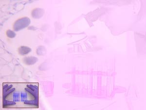 Biochemistry Title Content PowerPoint Template Biochemistry Title Content PowerPoint Template