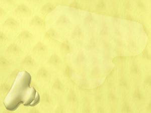 Tailbone Title Content PowerPoint Template