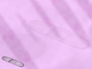 Bandage Title Content PowerPoint Template