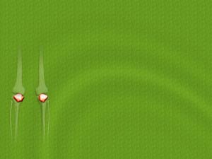 Patella (Knee Cap) Title Content PowerPoint Template