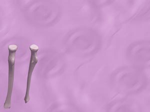 Radius (Forearm Bone) Title Content PowerPoint Template