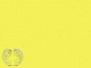 Ribs Title Content PowerPoint Template