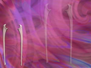 Ulna (Forearm Bone) Title Content PowerPoint Template