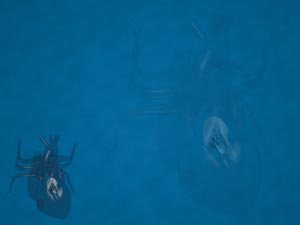 Mitral Valve (Bicuspid Valve) Title Content PowerPoint Template