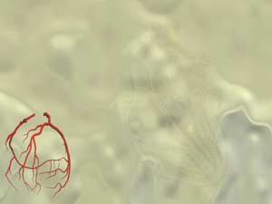 Heart Arteries Title Content PowerPoint Template