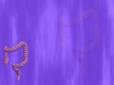 Colon Medicine PowerPoint Templates