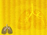 Trachea Medicine PowerPoint Templates