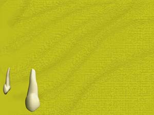 Upper Canine Title Content PowerPoint Template