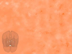 Pituitary Gland Title Content PowerPoint Template