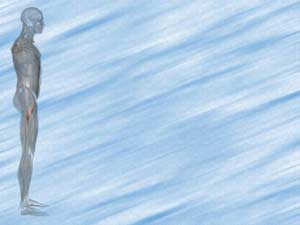 Adductor Brevis Muscle Title Content PowerPoint Template