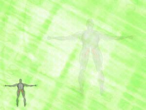 Adductor Brevis Muscle Title Content PowerPoint Template