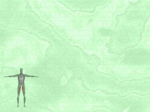 Adductor Longus Muscle Title Content PowerPoint Template