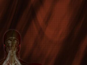 Auricular Anterior Muscle Title Content PowerPoint Template