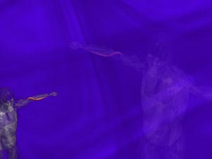 Brachioradialis Muscle Title Content PowerPoint Template