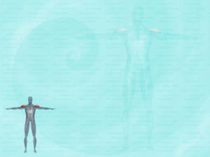 Deltoideus Muscle Title Content PowerPoint Template