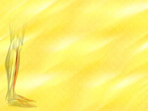 Extensor Digitorum Longus Muscle Title Content PowerPoint Template