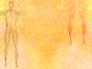 Extensor Hallucis Longus Muscle Title Content PowerPoint Template