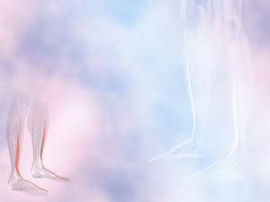 Extensor Hallucis Longus Muscle Title Content PowerPoint Template