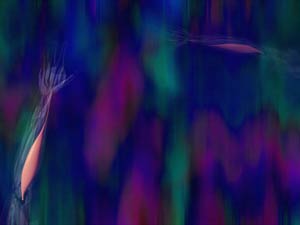 Flexor Carpi Radialis Muscle Title Content PowerPoint Template