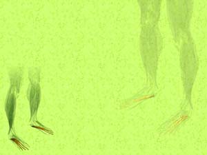 Flexor Digitorum Brevis Muscle Title Content PowerPoint Template