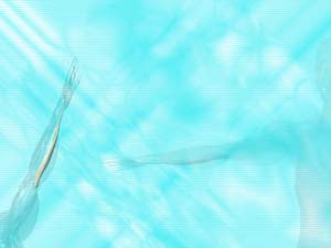 Flexor Digitorum Superficialis Muscle Title Content PowerPoint Template