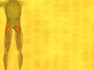 Gluteus Maximus Muscle Title Content PowerPoint Template