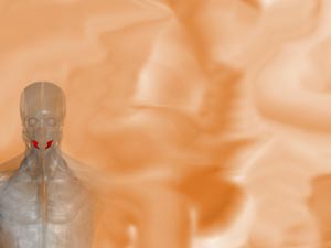 Hyoglossus Muscle Title Content PowerPoint Template