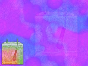 Skin Title Content PowerPoint Template